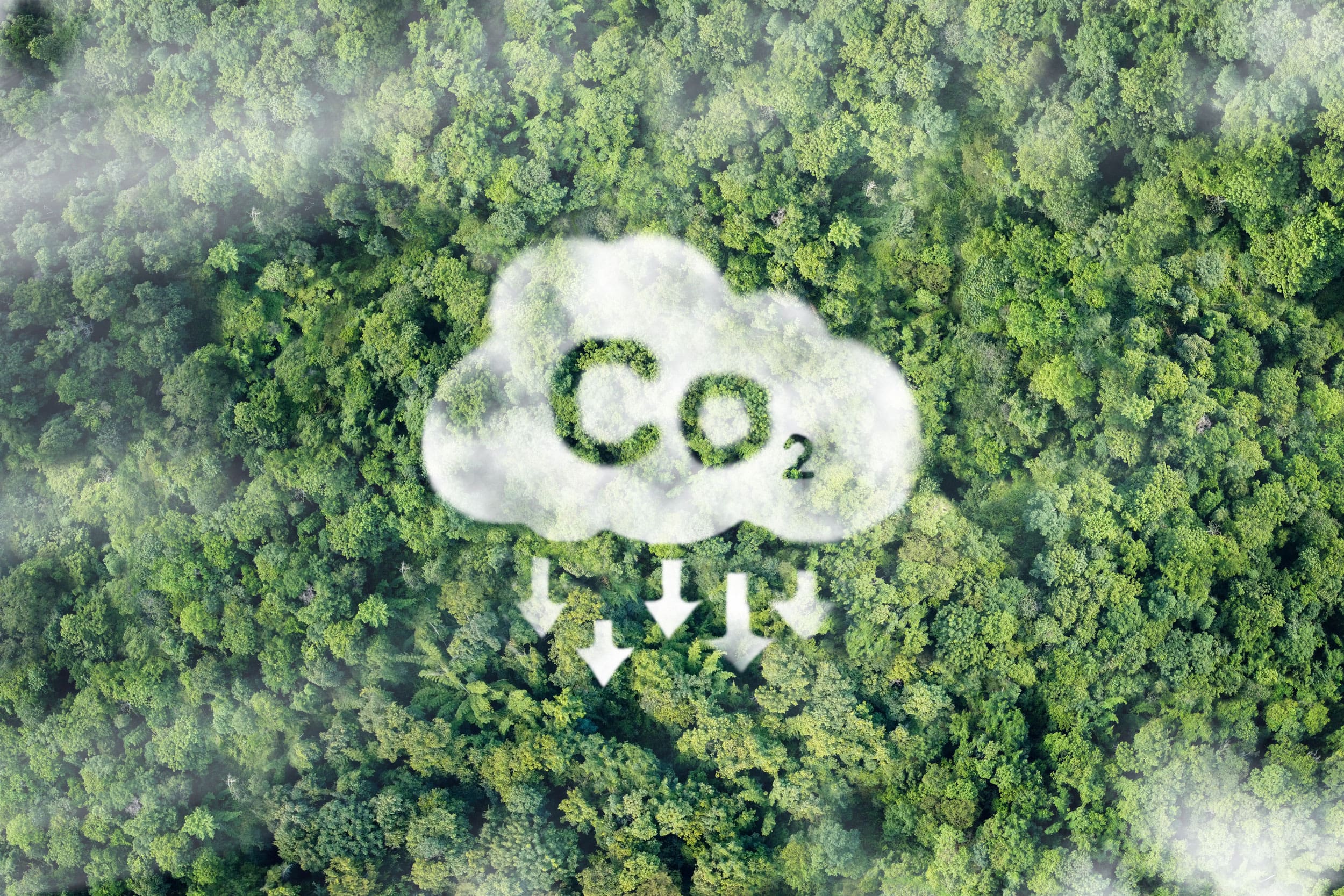 CO2-Reduktion